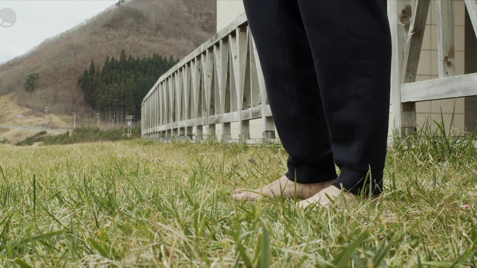 草之韵剧照的剧照