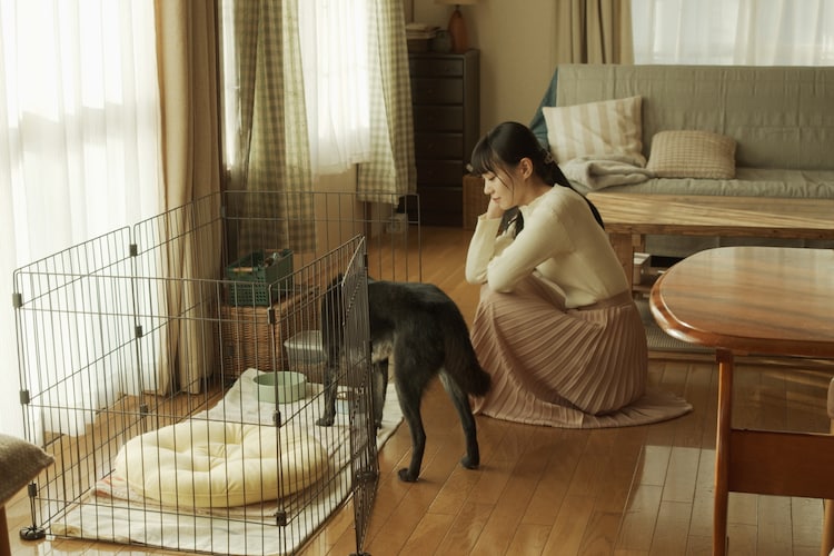 草之韵剧照的剧照