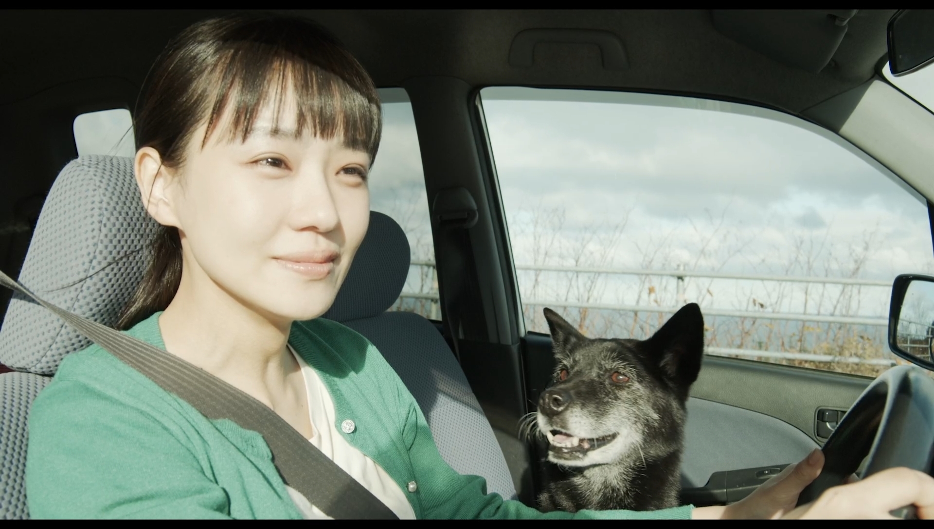 草之韵剧照的剧照