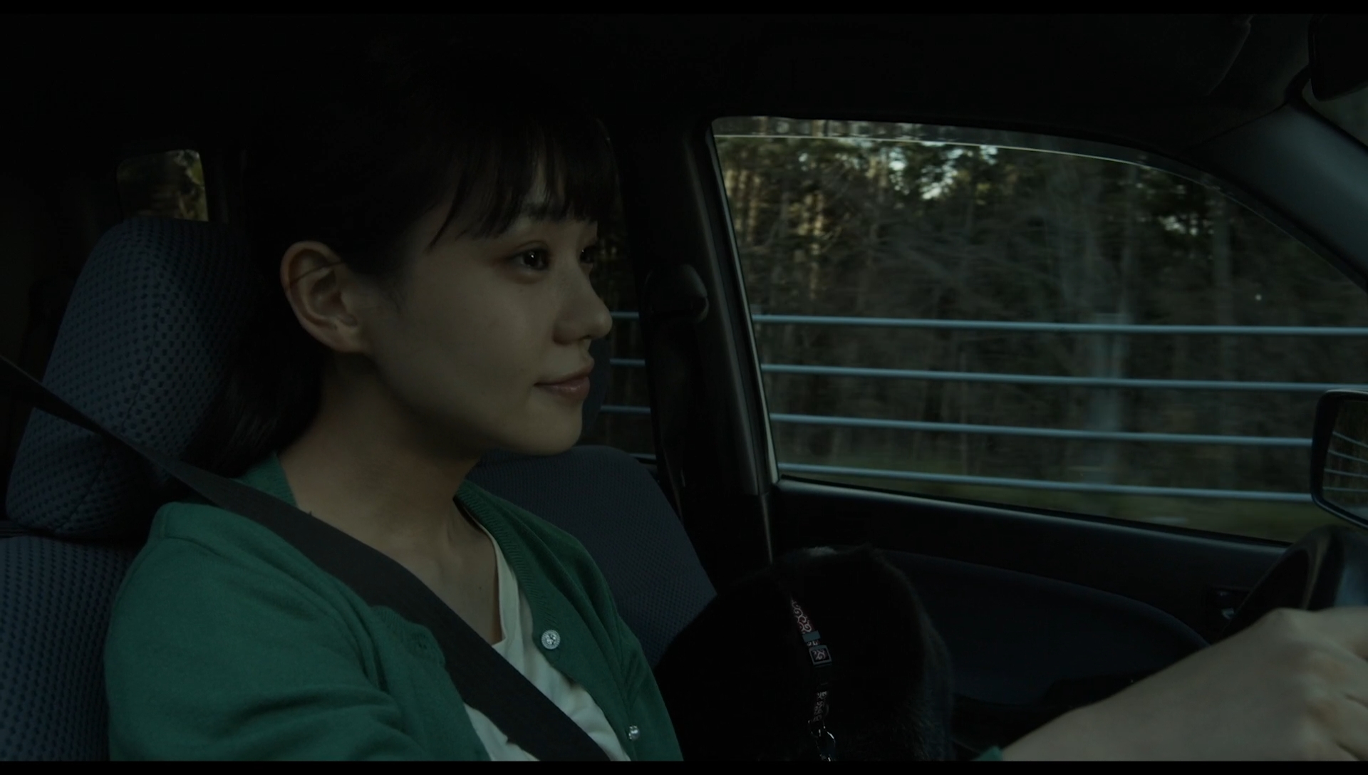 草之韵剧照的剧照