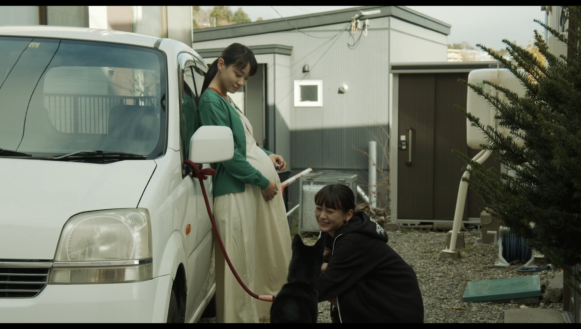 草之韵剧照的剧照