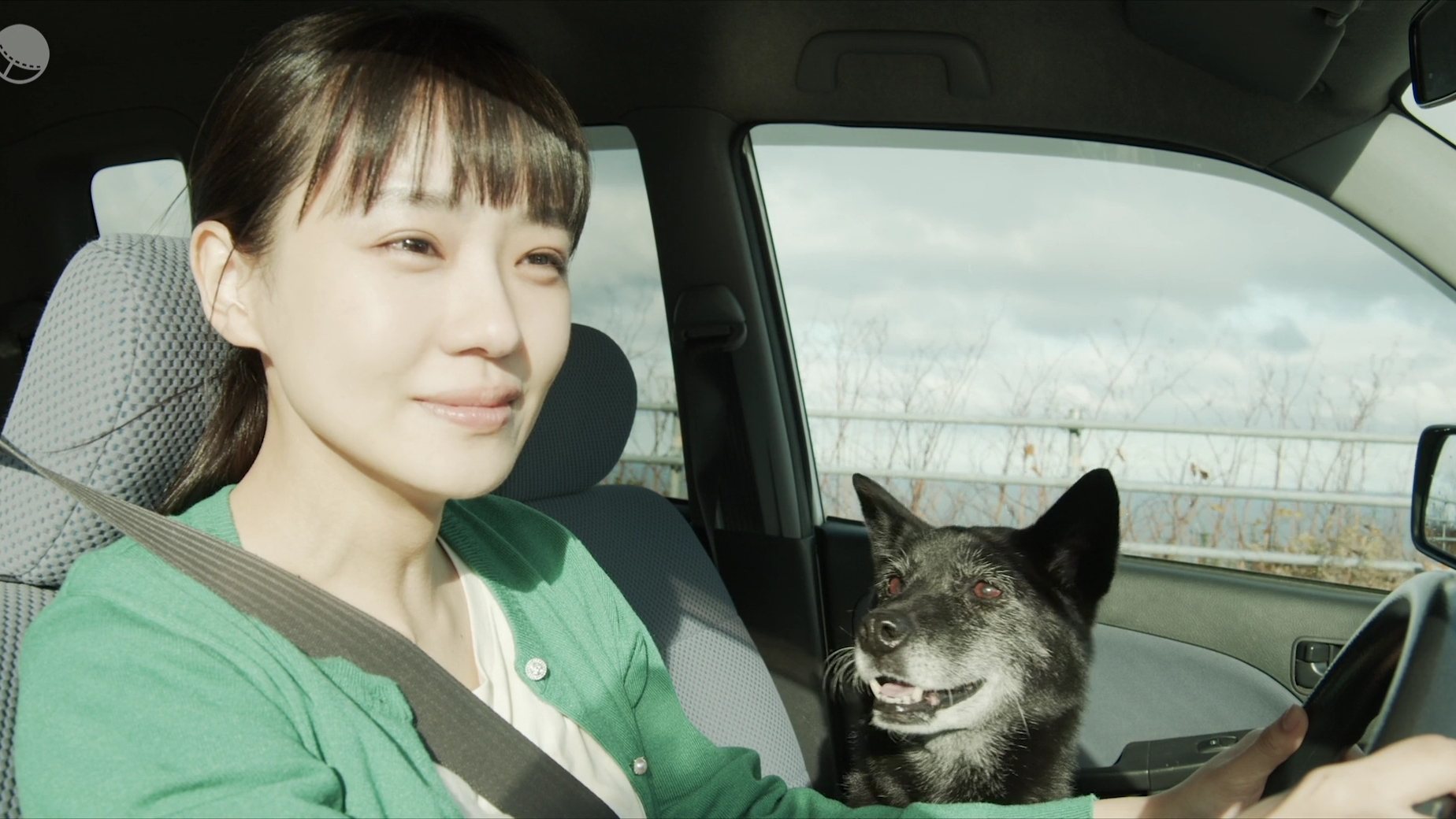 草之韵剧照的剧照