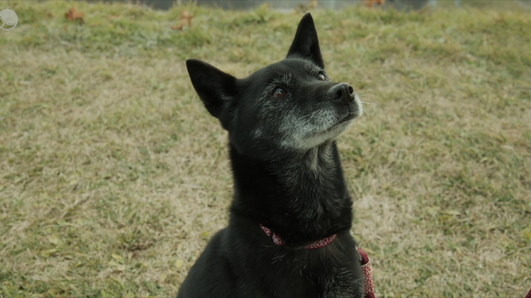 草之韵剧照的剧照