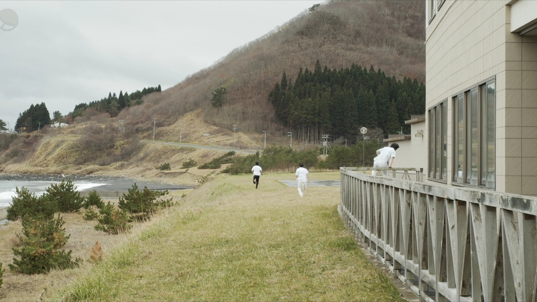 草之韵剧照的剧照