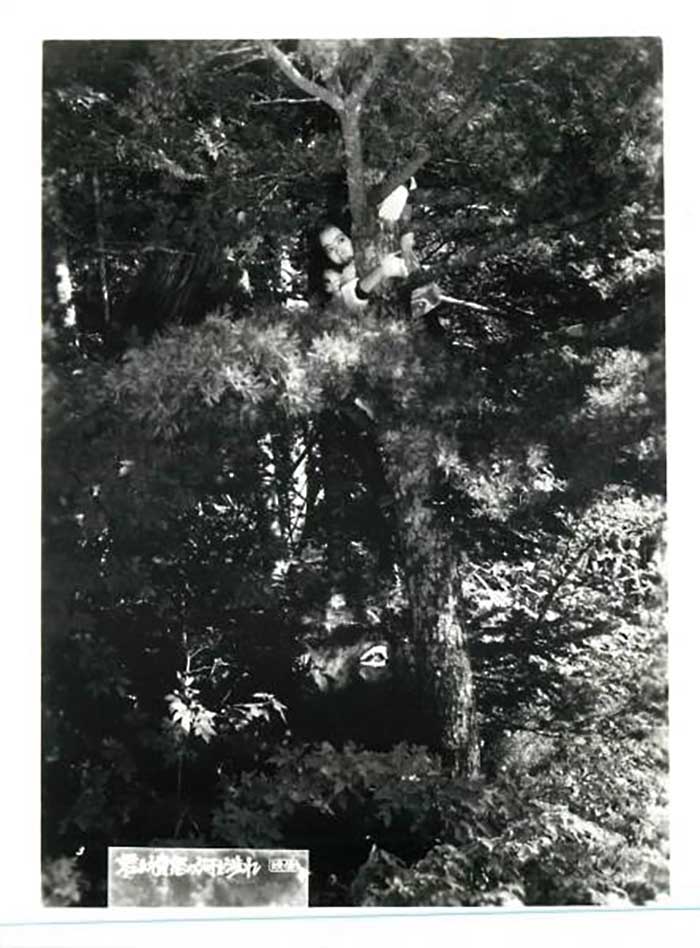 追捕剧照的剧照