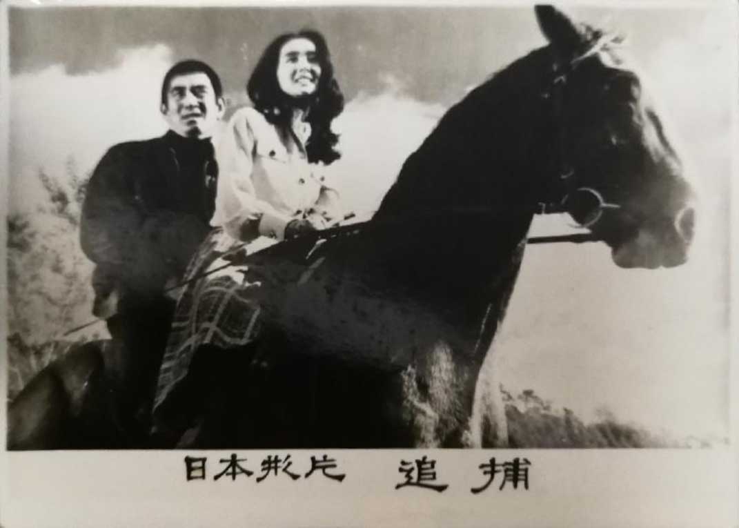 追捕剧照的剧照