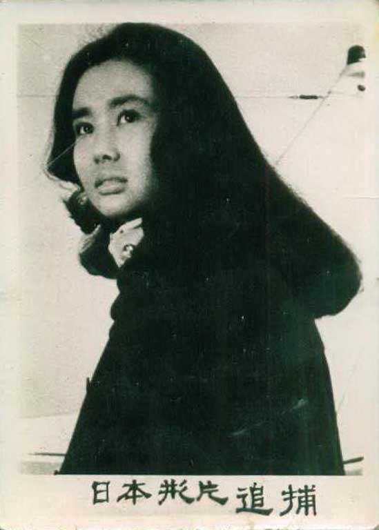 追捕剧照的剧照