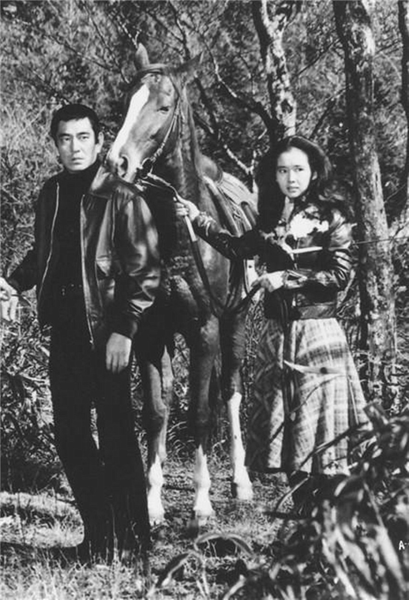 追捕剧照的剧照