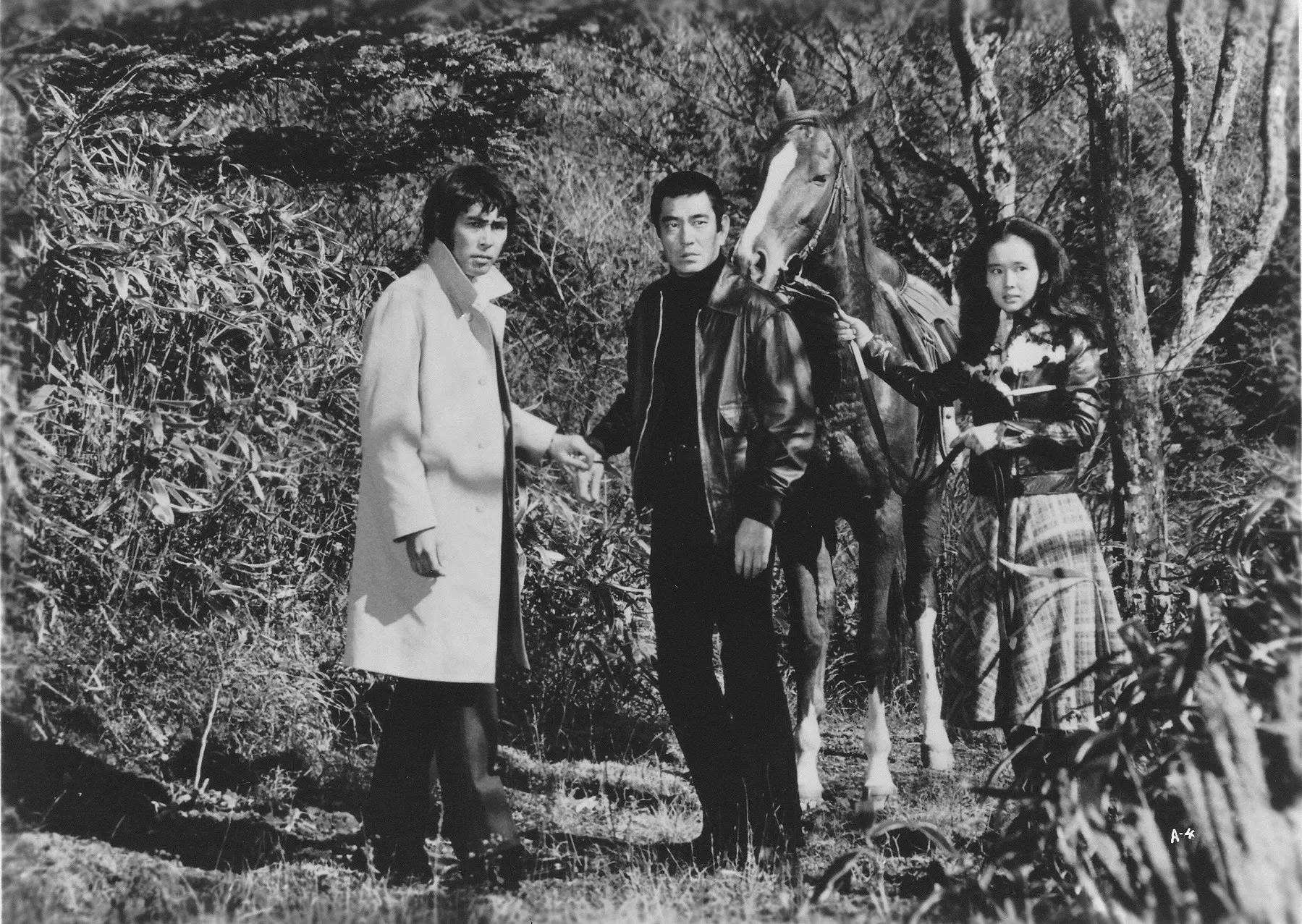 追捕剧照的剧照