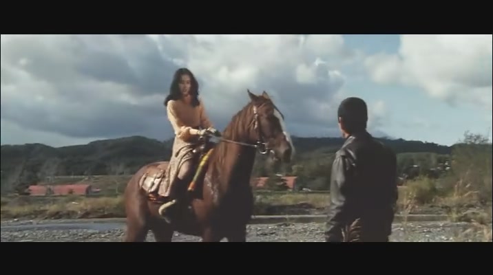 追捕剧照的剧照