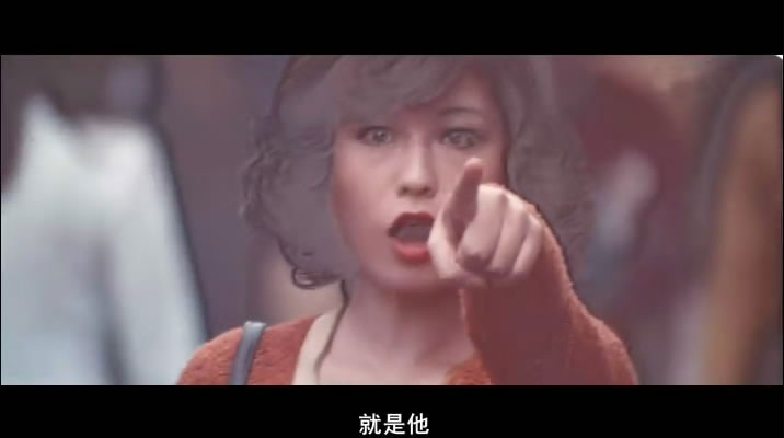 追捕剧照的剧照