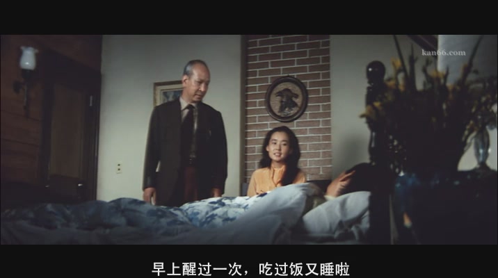 追捕剧照的剧照