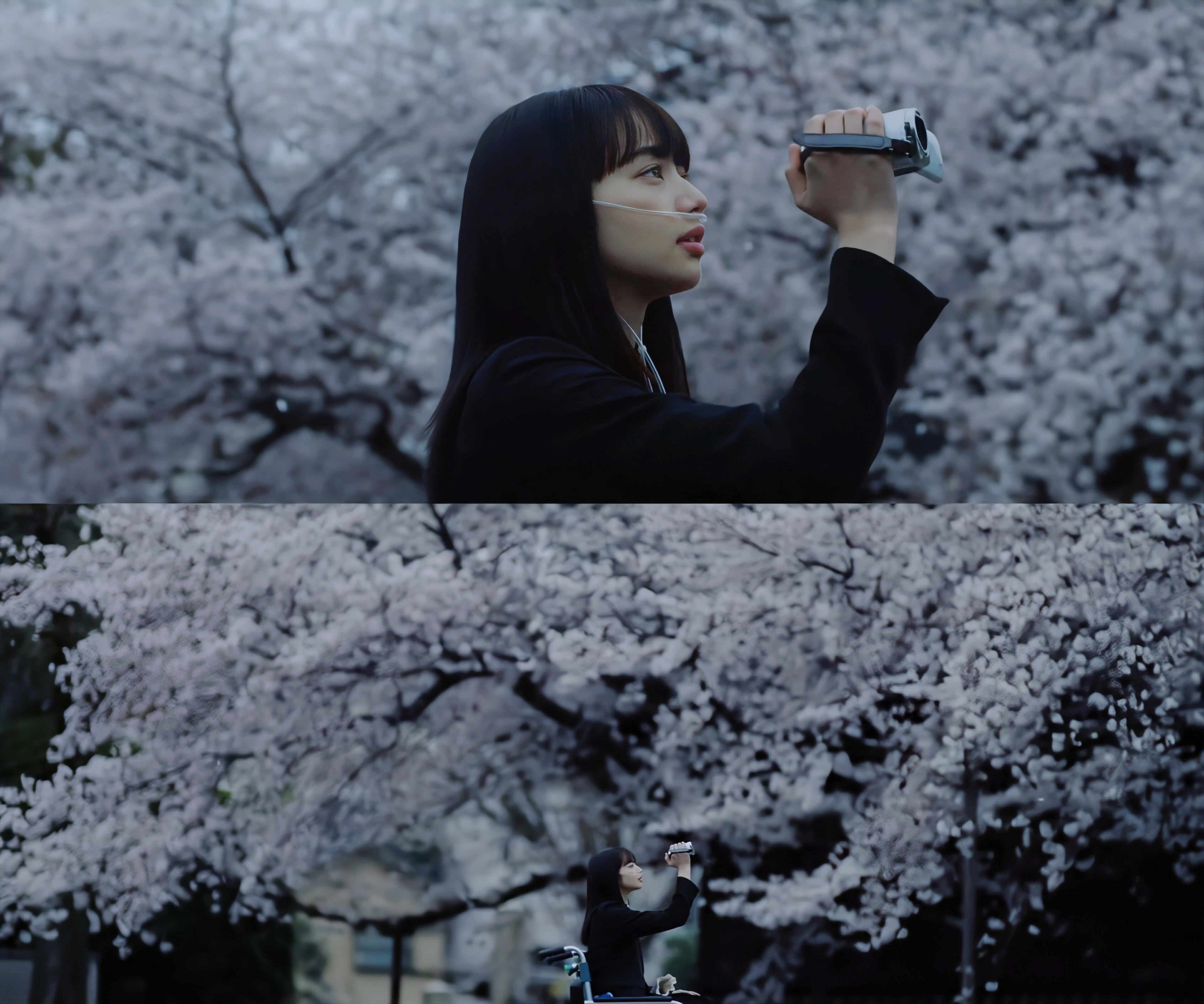 余命10年剧照的剧照