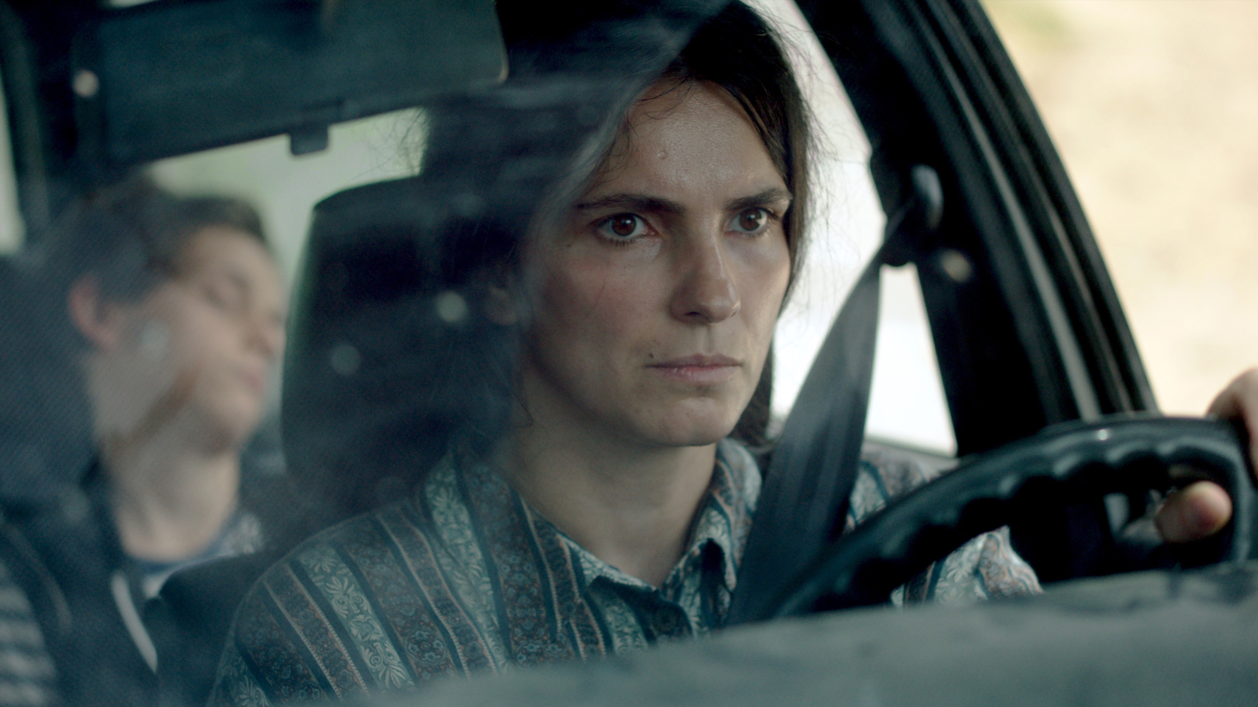 蜂箱剧照的剧照