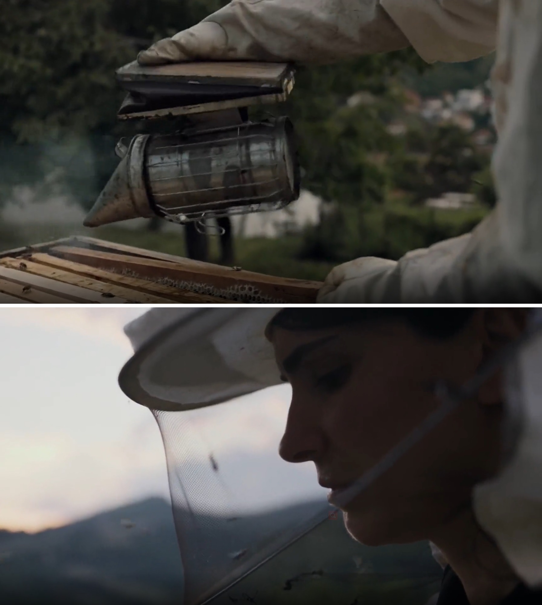 蜂箱剧照的剧照