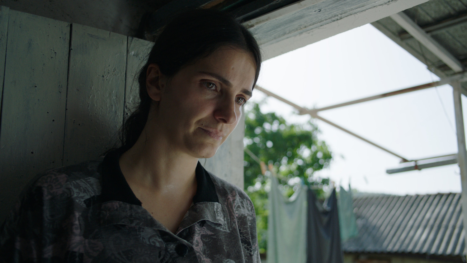 蜂箱剧照的剧照