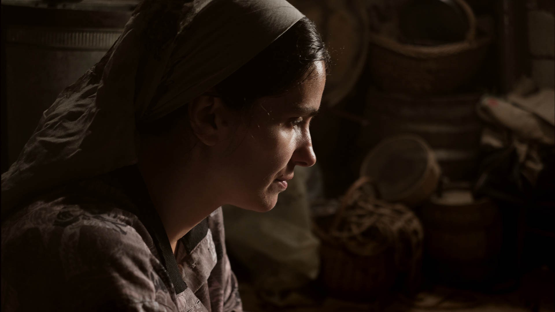 蜂箱剧照的剧照