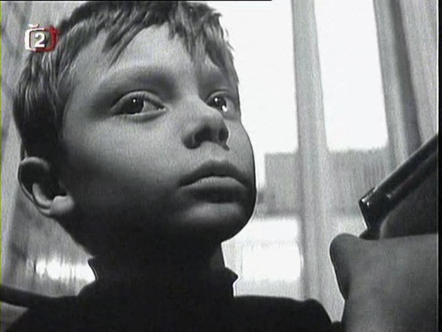 小白鸽剧照的剧照