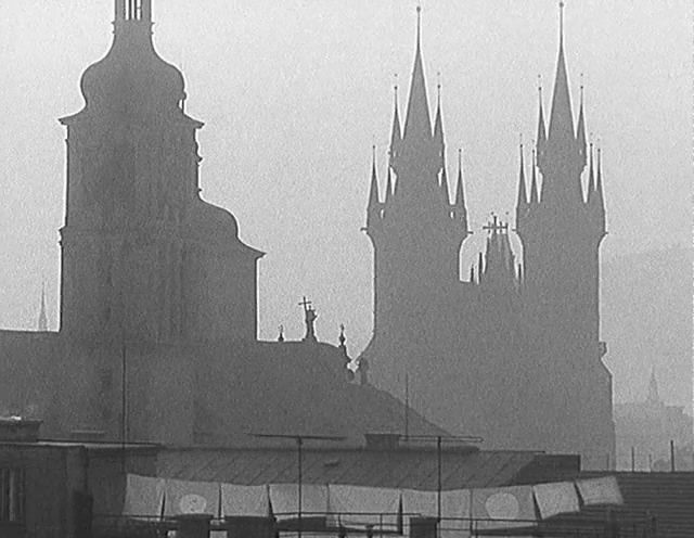 小白鸽剧照的剧照