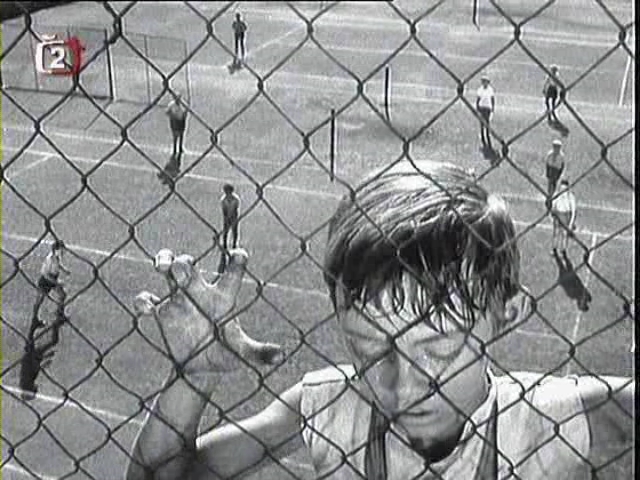 小白鸽剧照的剧照