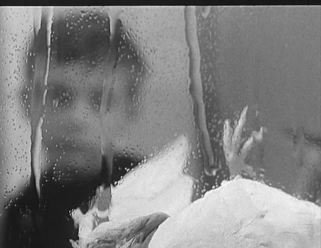 小白鸽剧照的剧照