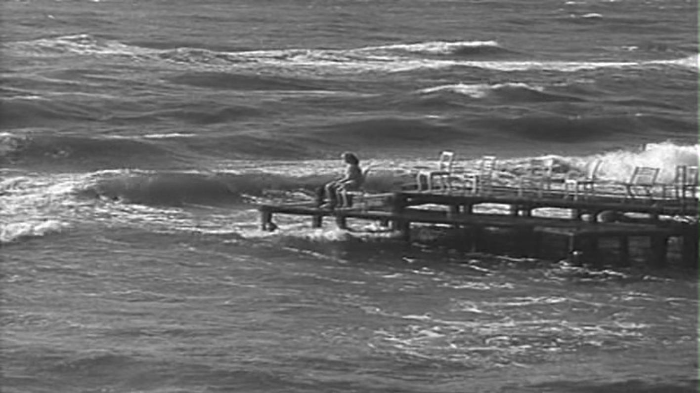 小白鸽剧照的剧照