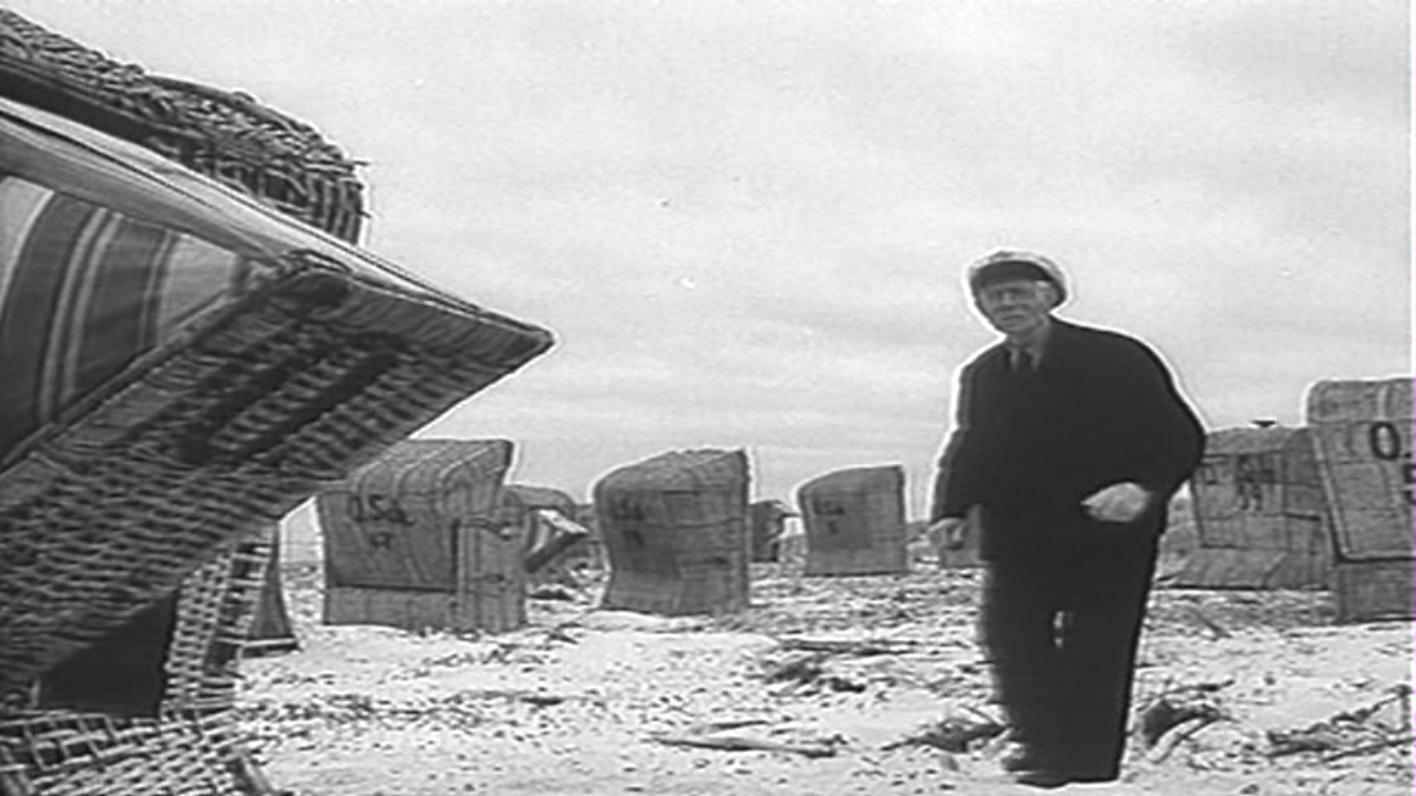 小白鸽剧照的剧照