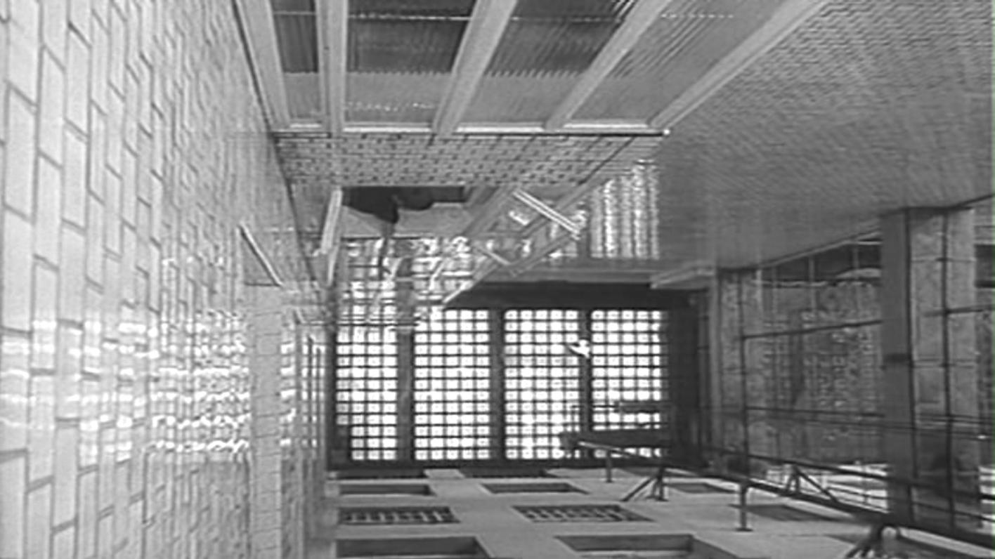 小白鸽剧照的剧照