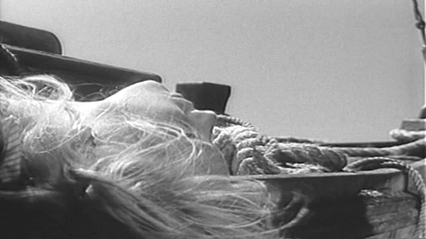 小白鸽剧照的剧照