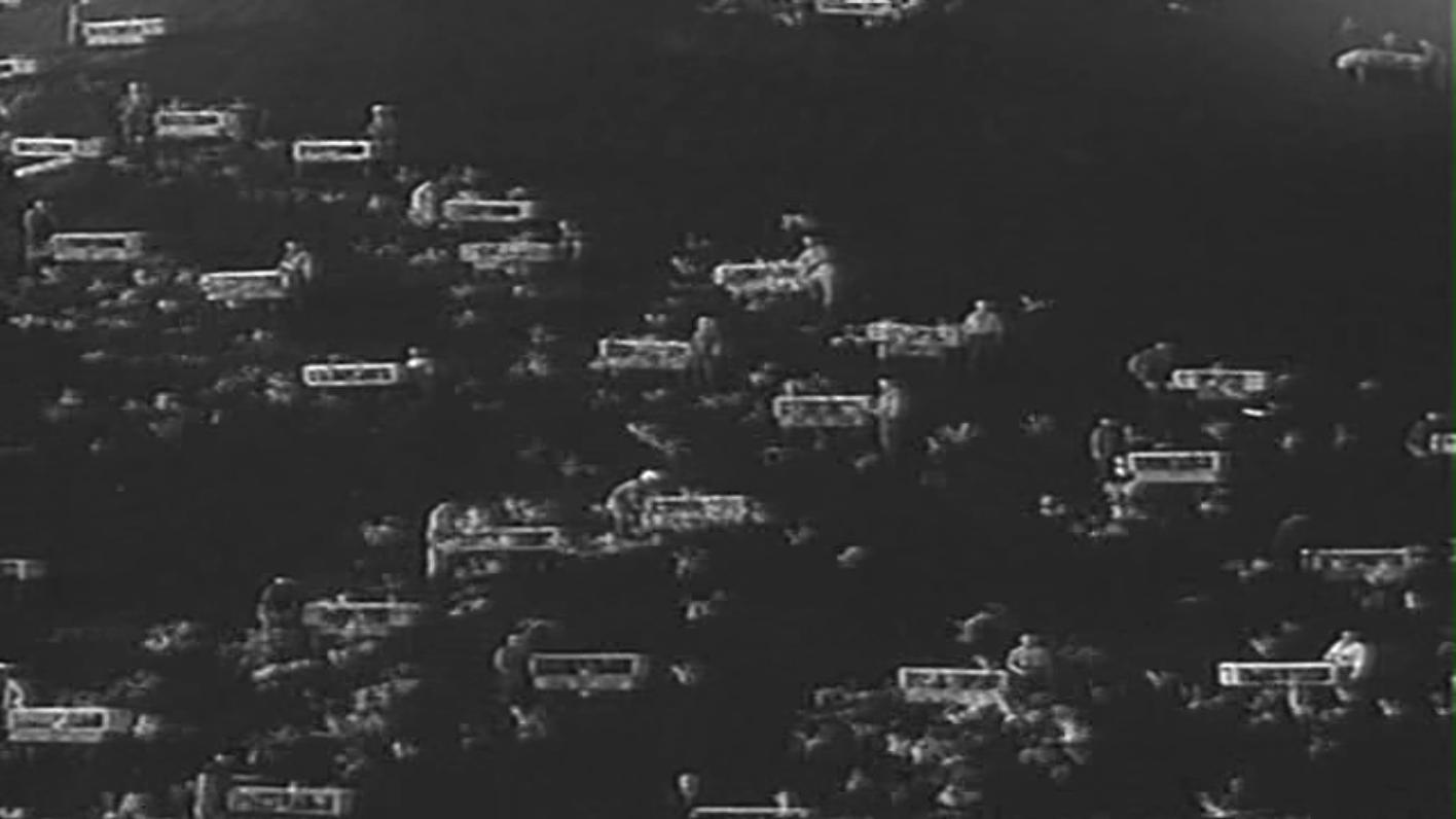 小白鸽剧照的剧照