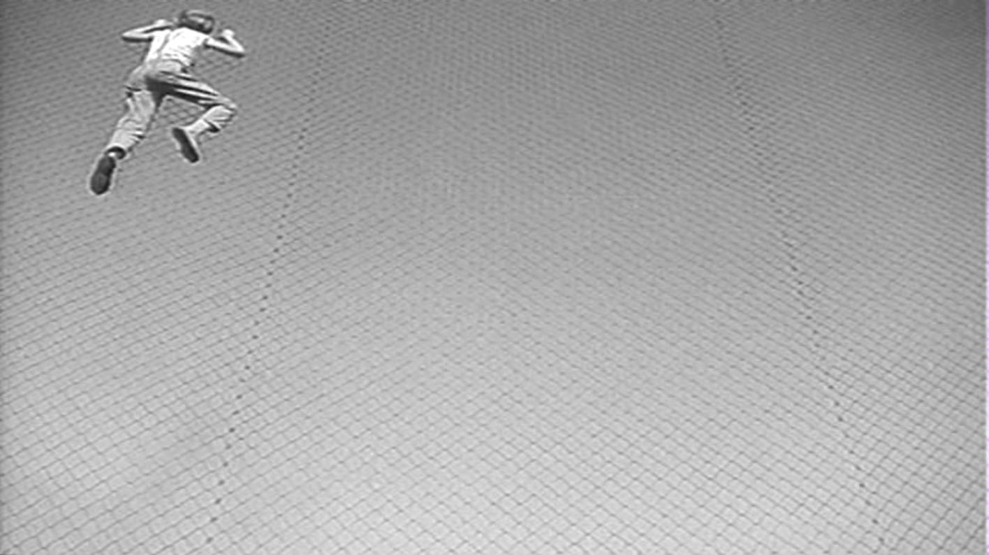 小白鸽剧照的剧照