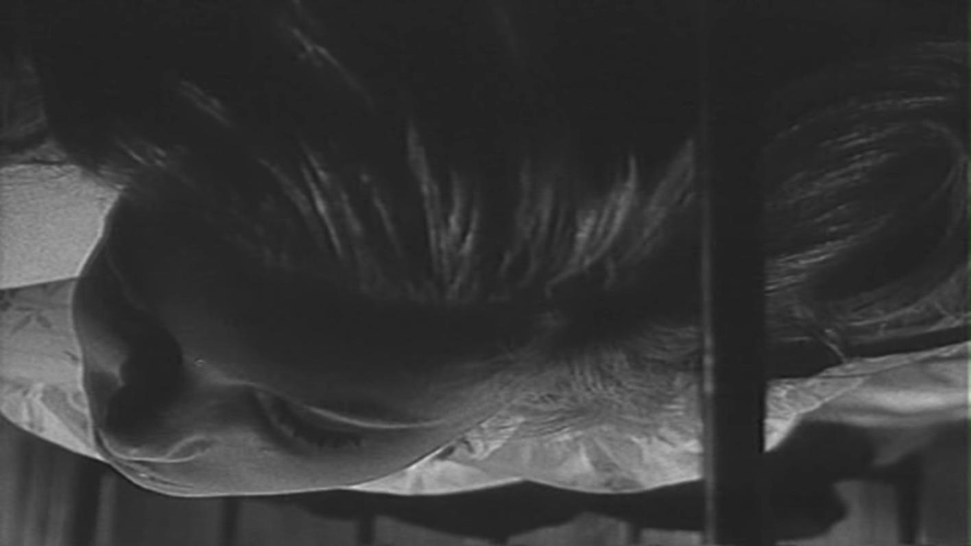 小白鸽剧照的剧照