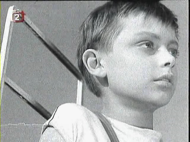 小白鸽剧照的剧照