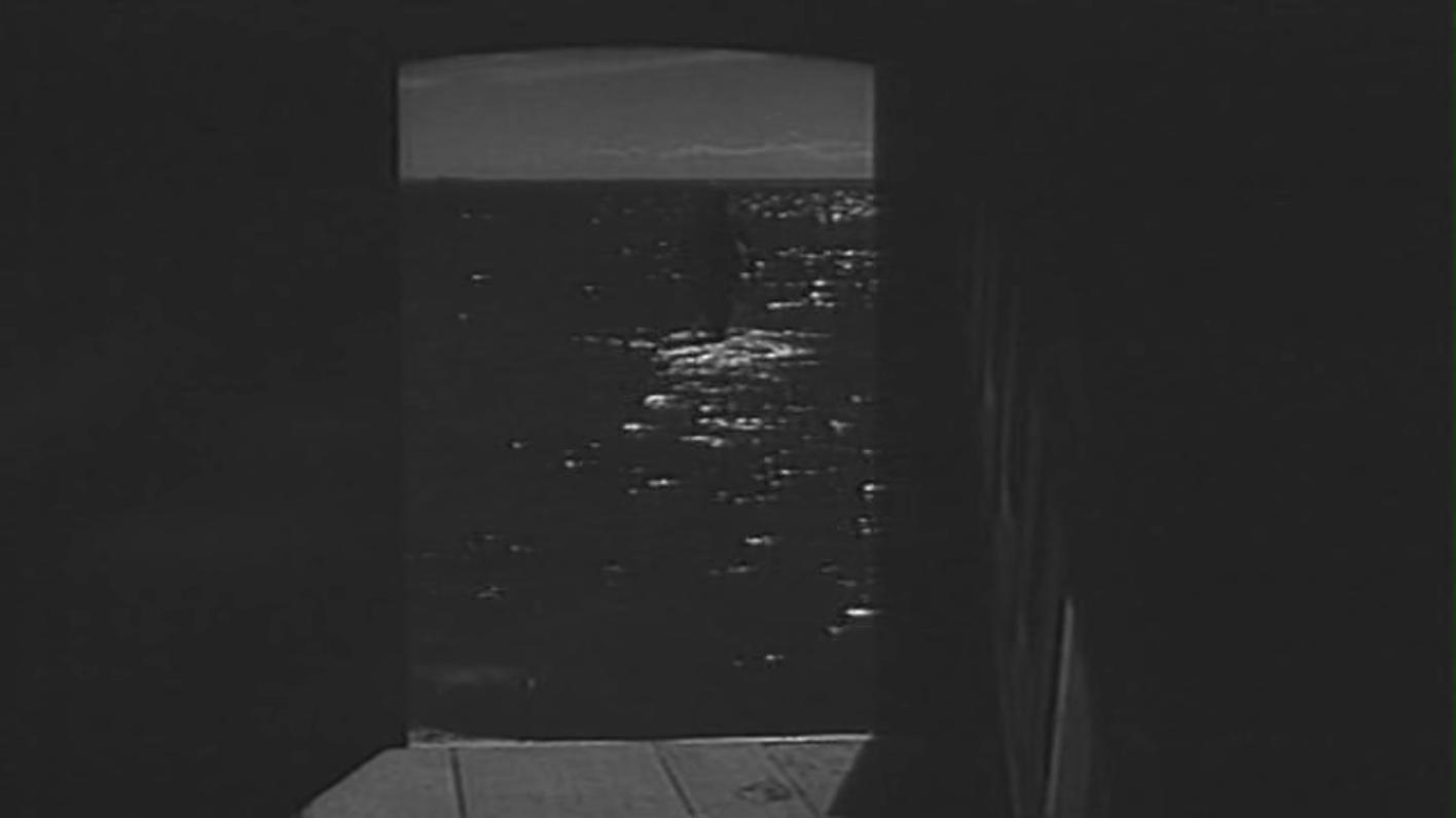 小白鸽剧照的剧照