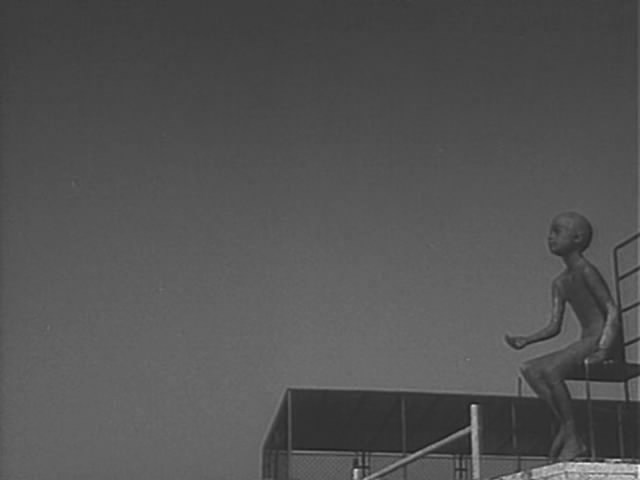 小白鸽剧照的剧照