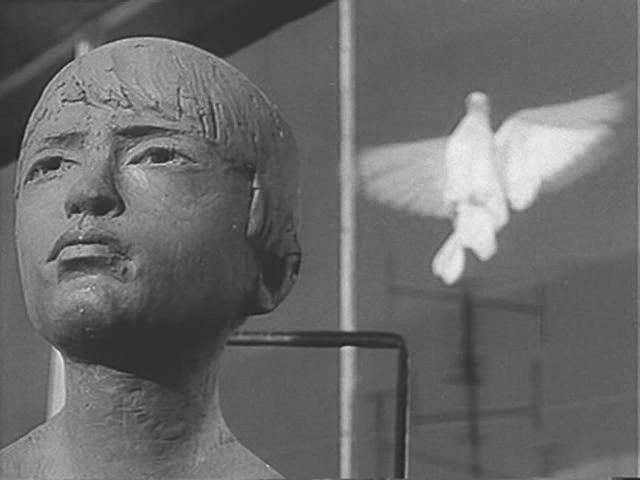 小白鸽剧照的剧照