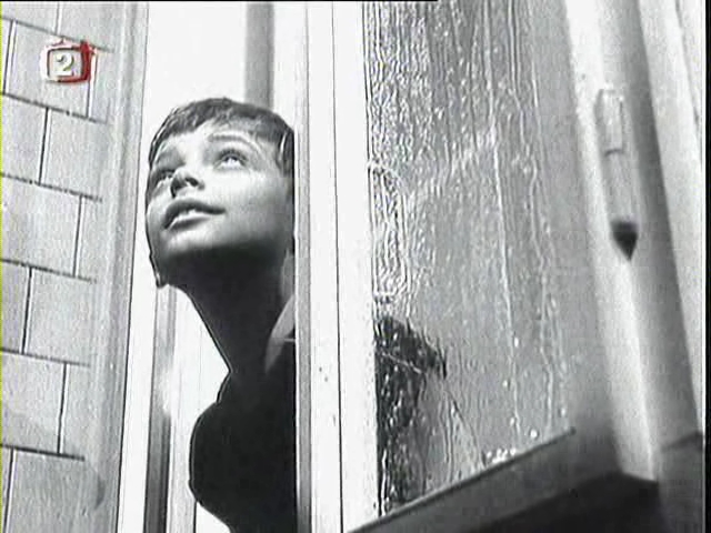 小白鸽剧照的剧照