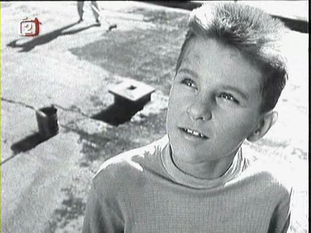 小白鸽剧照的剧照