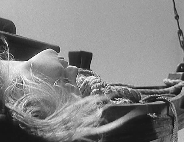 小白鸽剧照的剧照