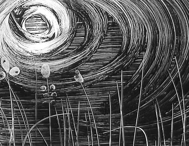 小白鸽剧照的剧照