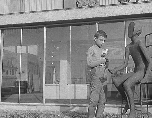 小白鸽剧照的剧照