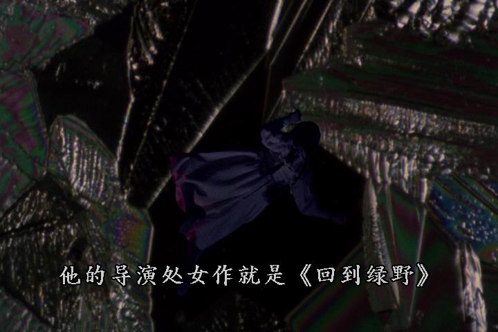 重返奥兹国剧照的剧照