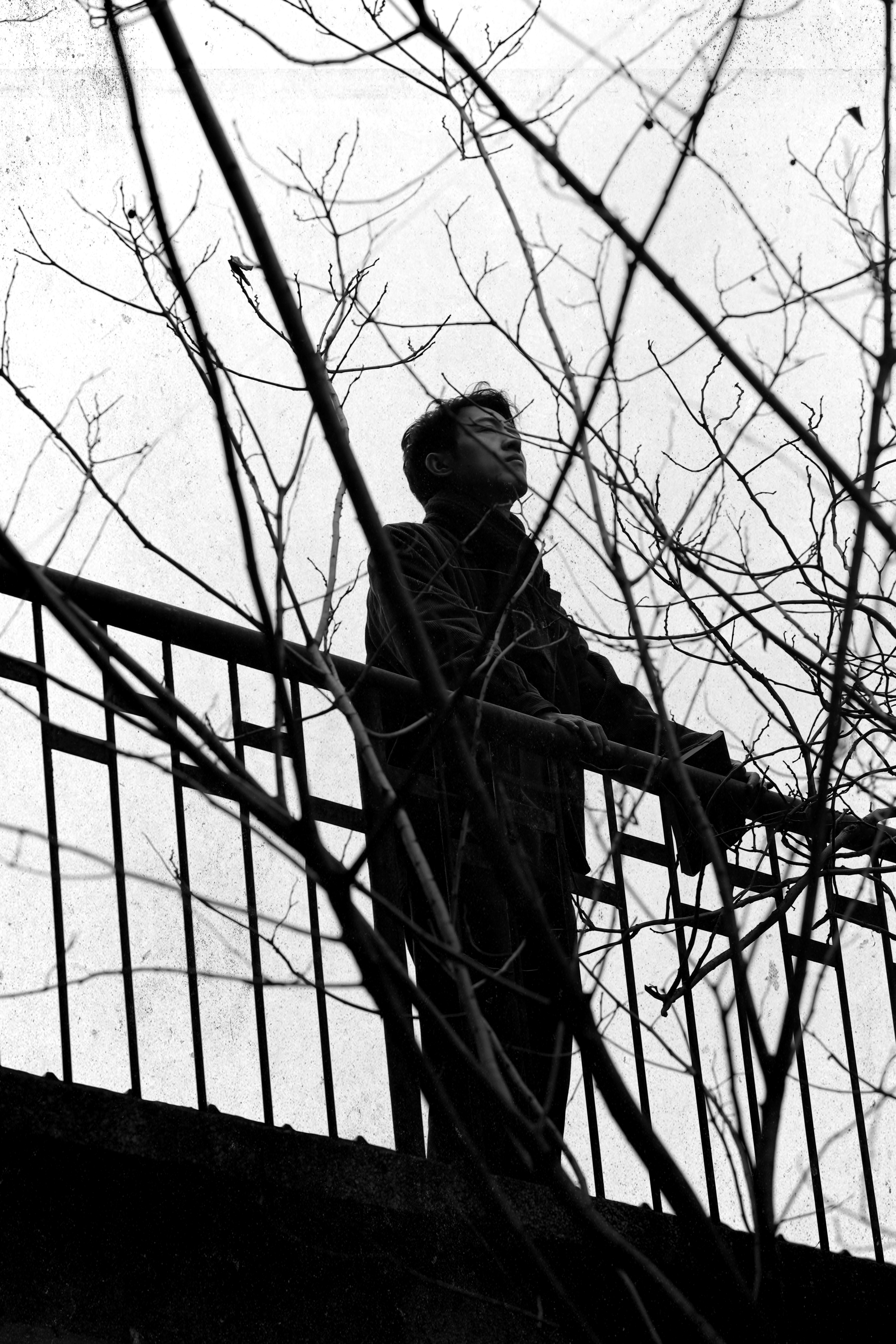 远山淡影剧照的剧照