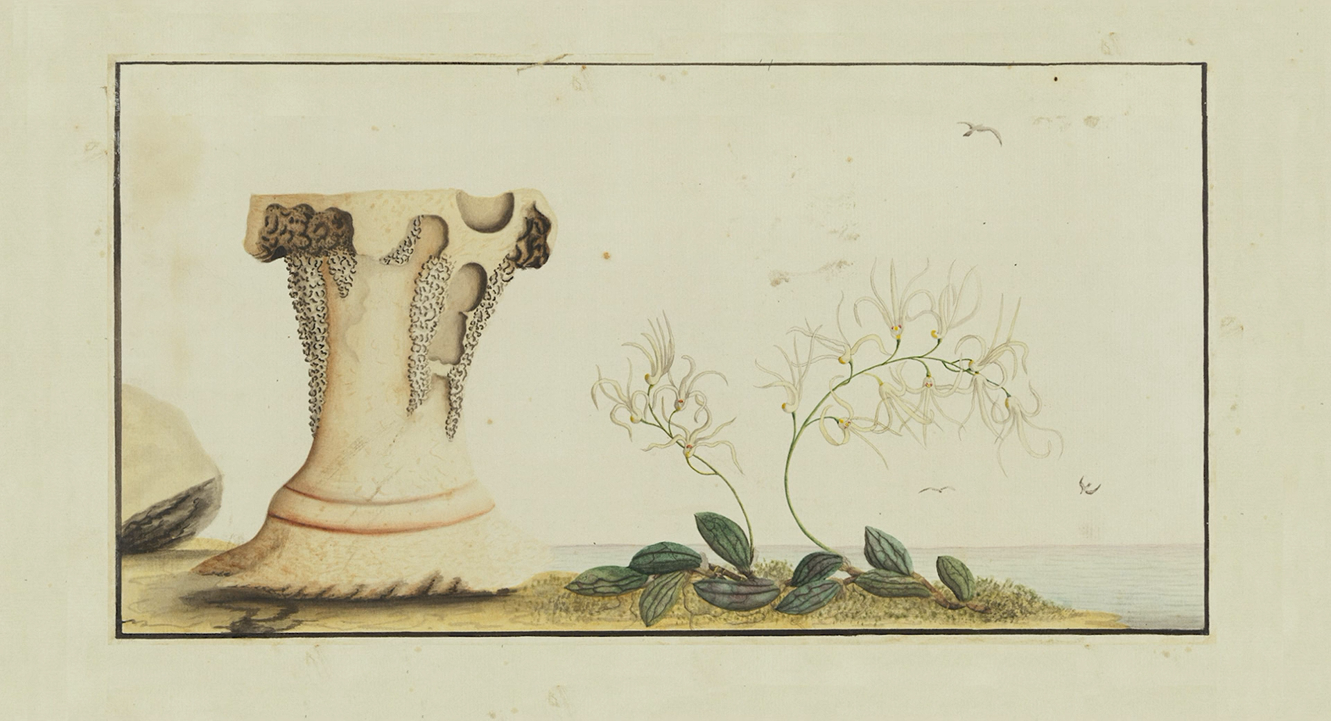 朋友和陌生人剧照的剧照