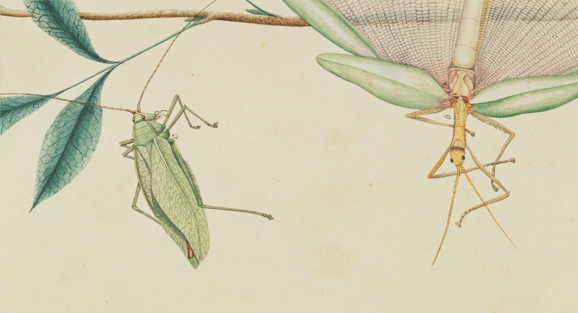 朋友和陌生人剧照的剧照