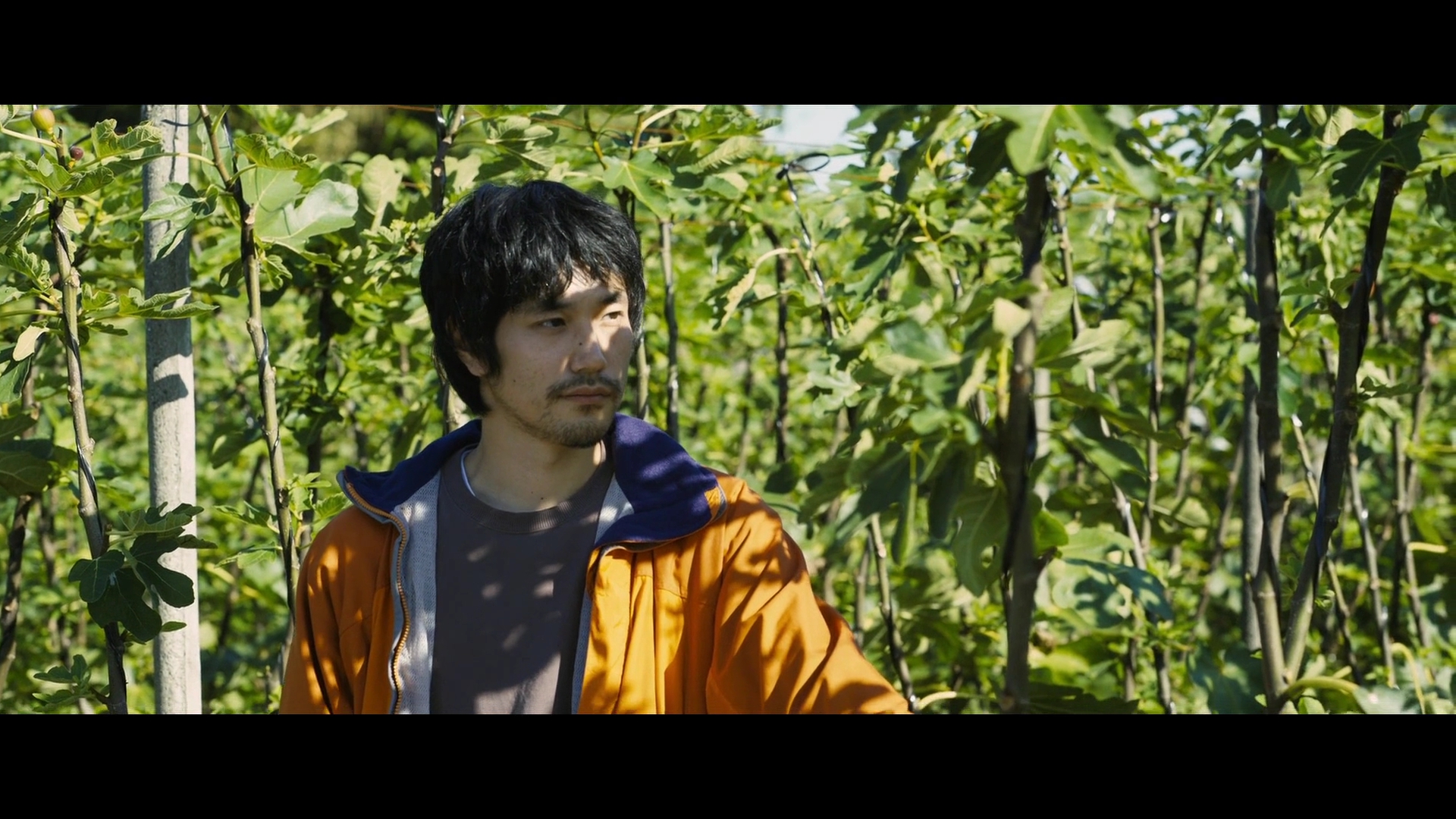 噪音剧照的剧照