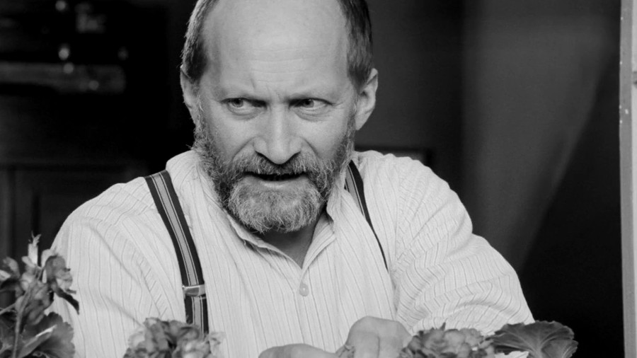 科扎克医生剧照的剧照