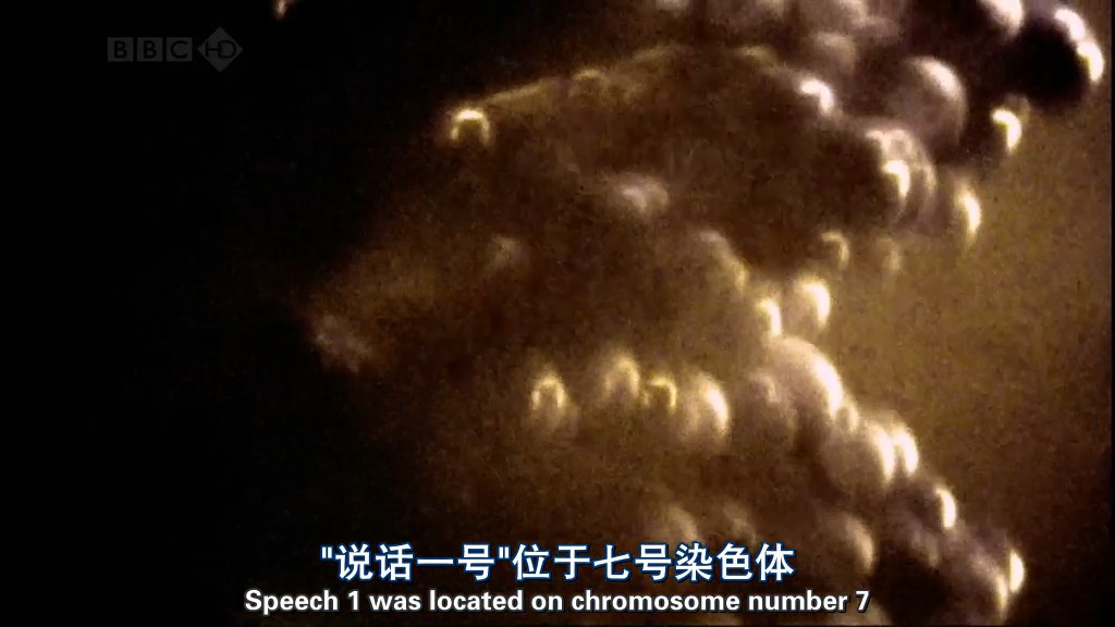 地平线系列：我们为何讲话？剧照的剧照