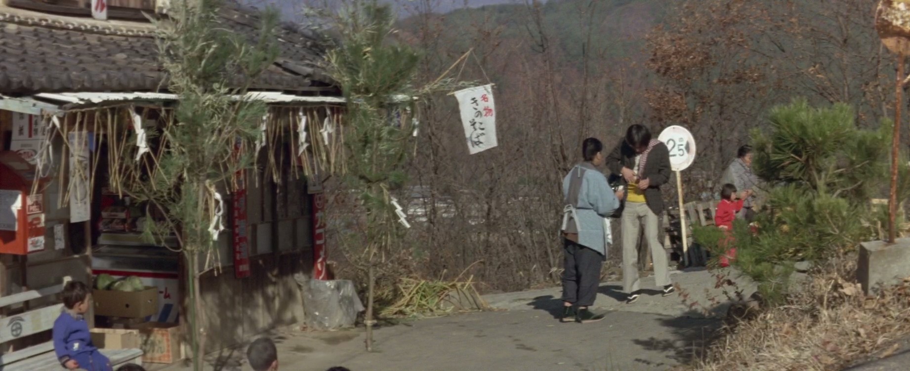 寅次郎的故事10：寅次郎美梦成真剧照的剧照