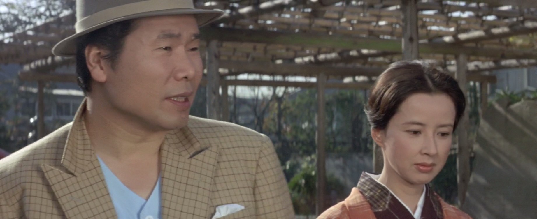 寅次郎的故事10：寅次郎美梦成真剧照的剧照